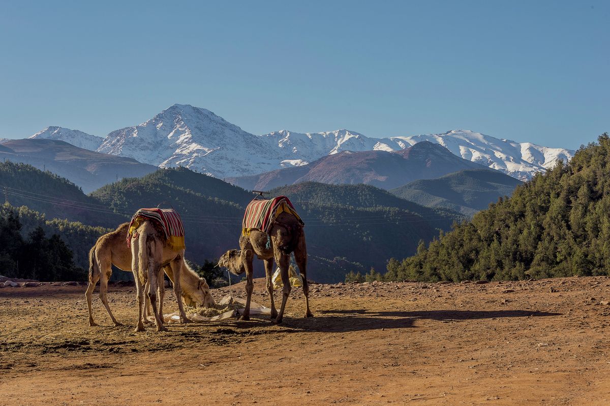 Excursion des Trois Vallées depuis Marrakech